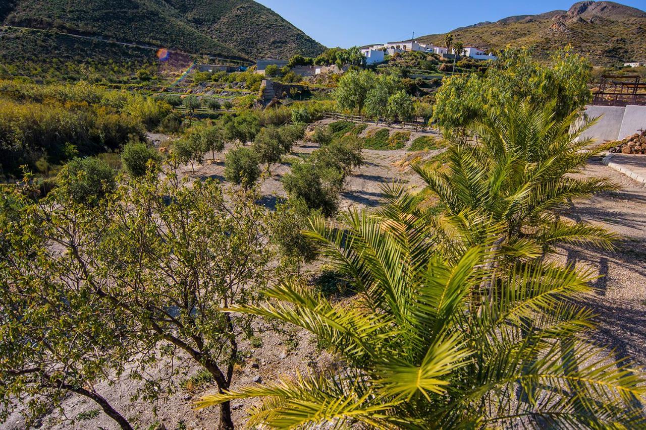 Bed and Breakfast Cortijo 4 Elementos à Lucainena de las Torres Extérieur photo